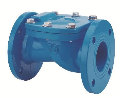 Check Valve